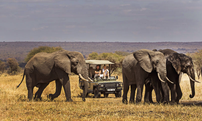 Tarangire National Park Day Trip